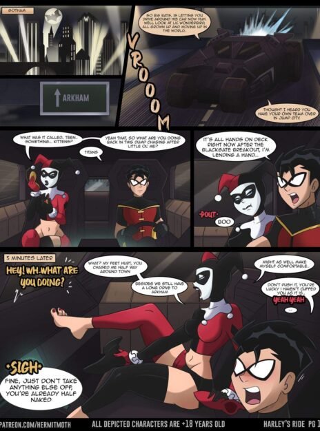 Harley’s Ride – Hermit Moth 1