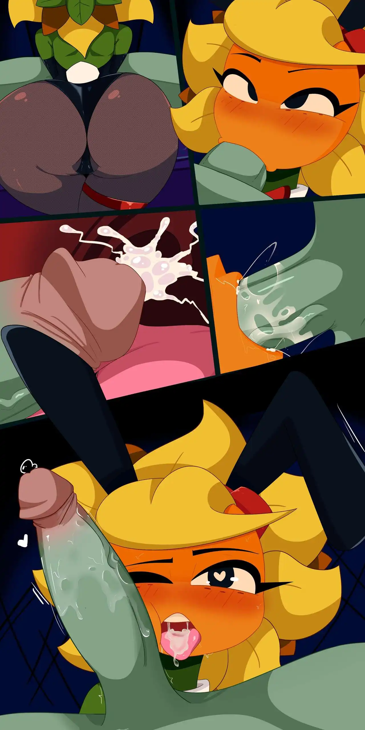 Solar Training R Bismut 11