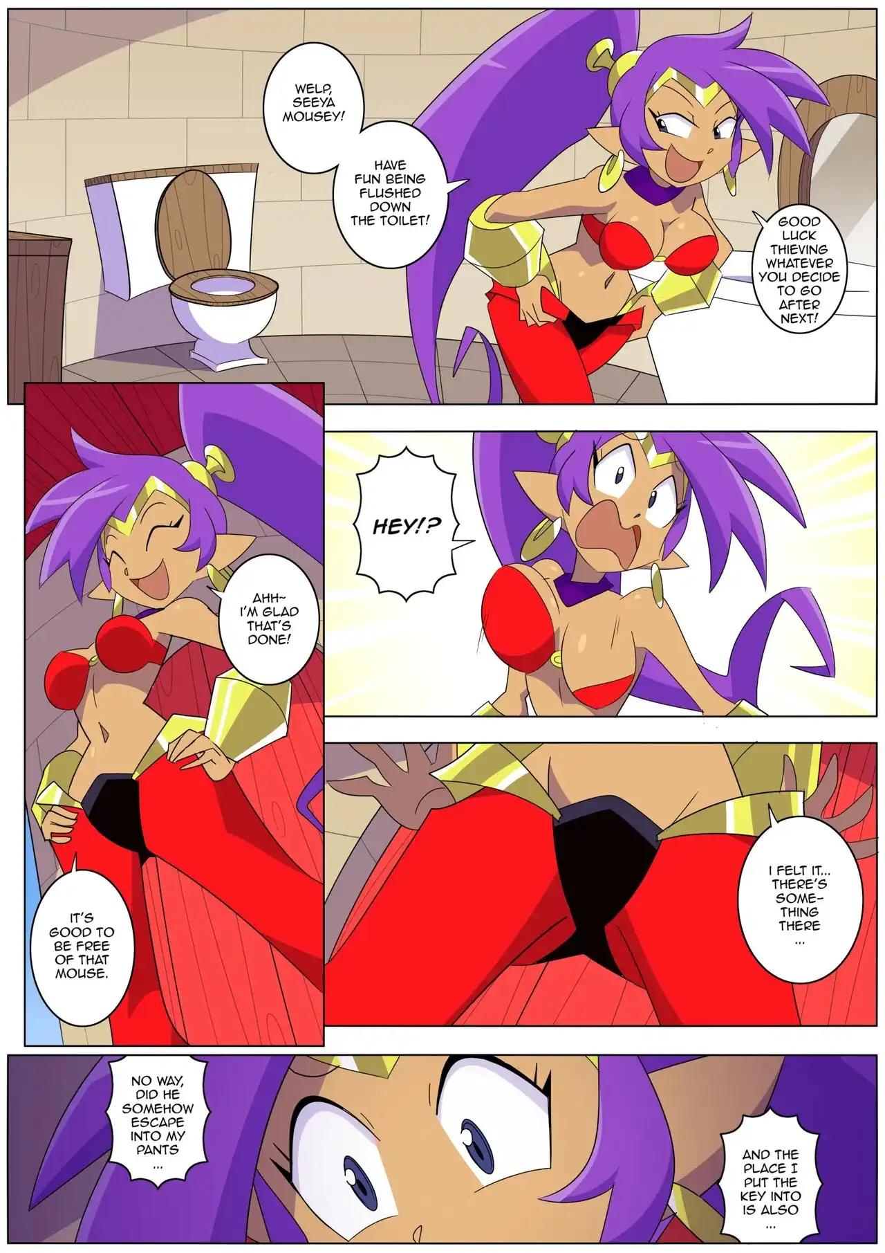 The Thief Inside Shantae Dangerking11 15