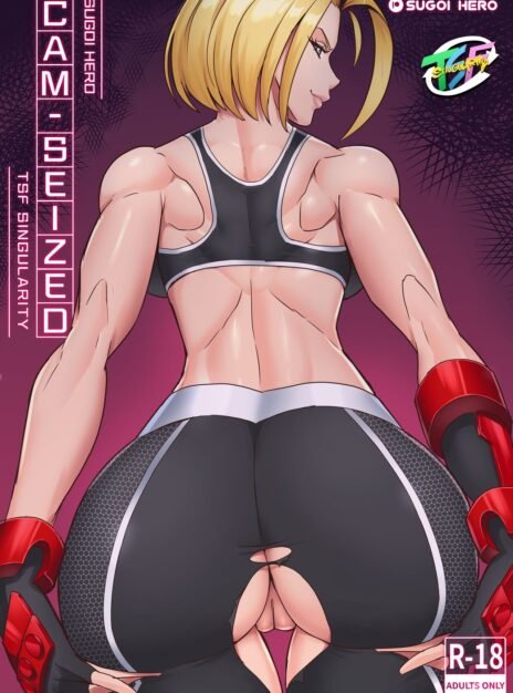 Cam Seized Sugoi Hero 01